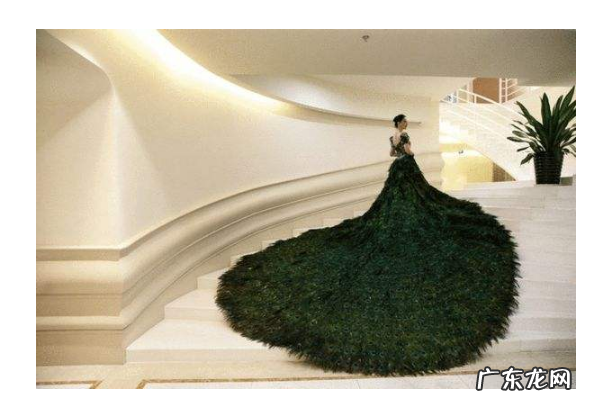 世界十大婚纱 世界十大最贵的婚纱