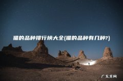 猫的品种有几种? 猫的品种排行榜大全