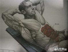 为什么我体脂称上17体脂却没马甲线？本人女？