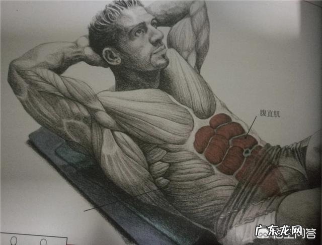 为什么我体脂称上17体脂却没马甲线？本人女？