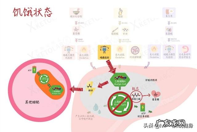 我体重不超重但为什么显胖?