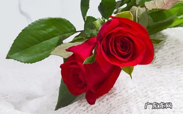 相思渡口完整版 原唱 相思渡口抖音完整版原唱?