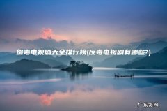 反毒电视剧有哪些? 缉毒电视剧大全排行榜