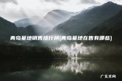 青岛墓地在售有哪些 青岛墓地销售排行榜