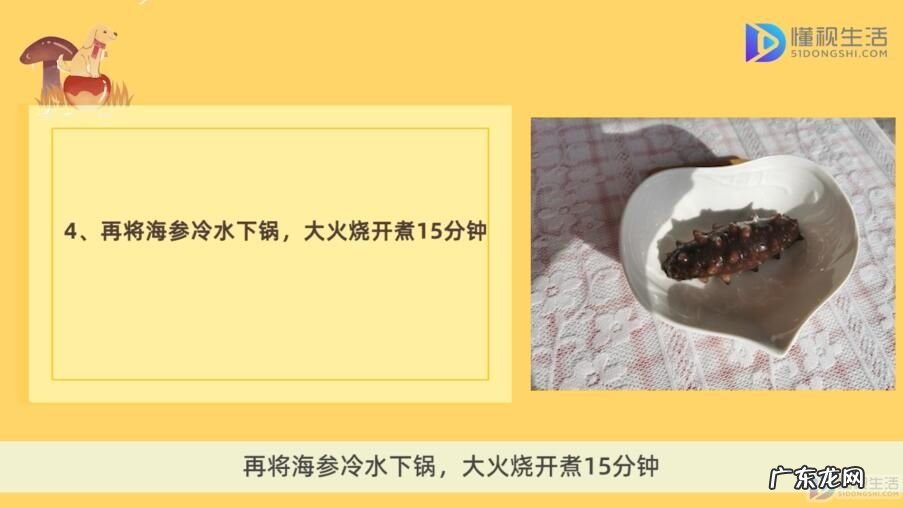 怎样水发海参 海参怎么样泡发最好