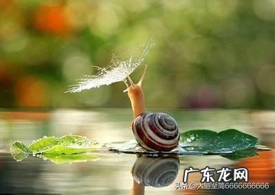 让你一天不碰手机会出现情绪变化吗?