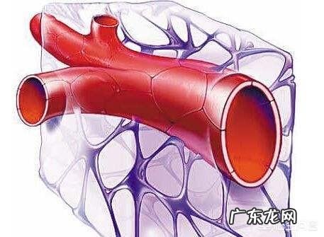 让你一天不碰手机会出现情绪变化吗?