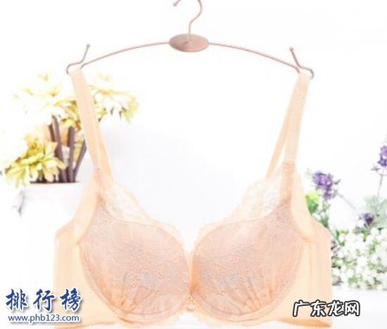 口红安全性排行榜10强 最好的文胸有哪些？文胸热卖排行榜10强推荐