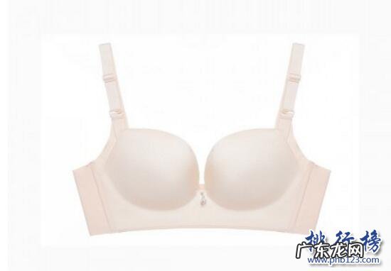 口红安全性排行榜10强 最好的文胸有哪些?文胸热卖排行榜10强推荐