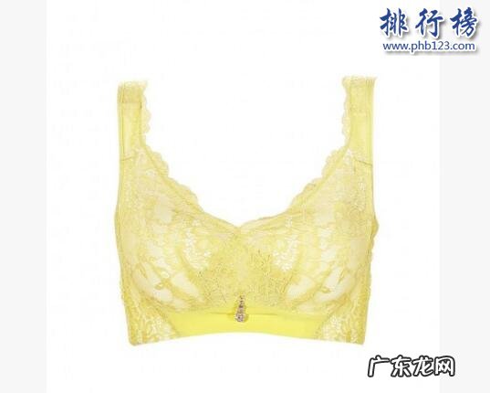 口红安全性排行榜10强 最好的文胸有哪些?文胸热卖排行榜10强推荐