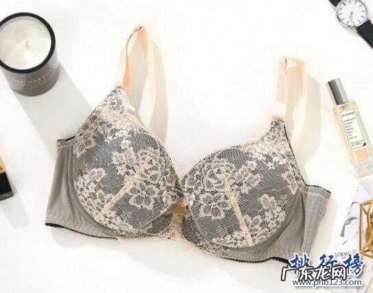 口红安全性排行榜10强 最好的文胸有哪些?文胸热卖排行榜10强推荐