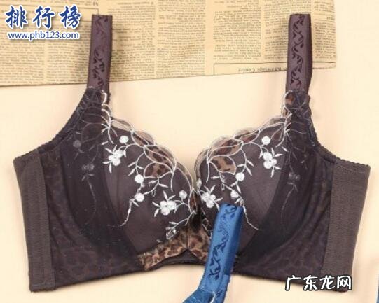 口红安全性排行榜10强 最好的文胸有哪些？文胸热卖排行榜10强推荐