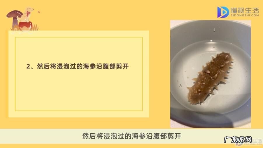 干海参的泡法 家常泡发干海参的方法