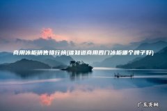 谁知道商用四门冰柜哪个牌子好 商用冰柜销售排行榜