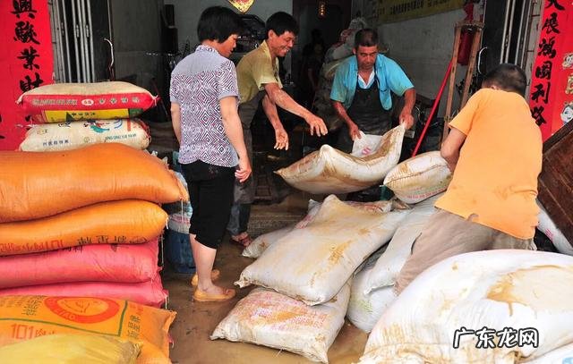 饲料行业十大龙头 饲料产业全球销售排行榜