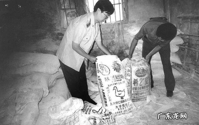 饲料行业十大龙头 饲料产业全球销售排行榜