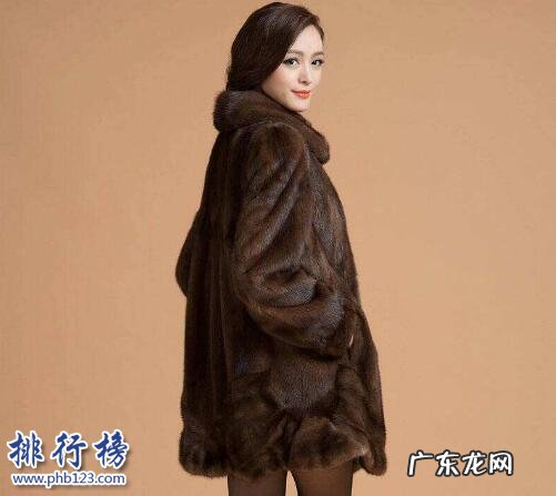 什么样的貂皮大衣是最好的 什么牌子的水貂皮草好?水貂皮草十大品牌排行榜推荐