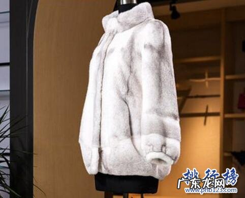 什么样的貂皮大衣是最好的 什么牌子的水貂皮草好?水貂皮草十大品牌排行榜推荐