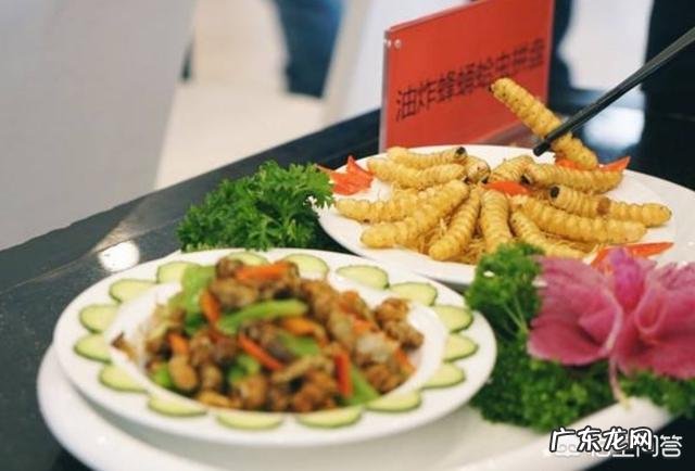 你知道有哪些好吃好喝的地方?来一次美食之旅?