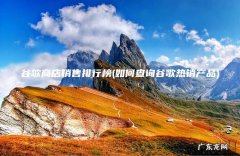 如何查询谷歌热销产品 谷歌商店销售排行榜