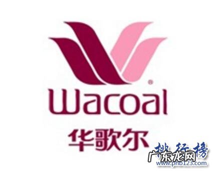 女士内衣世界品牌排行榜 什么牌子的女士内衣好?女士内衣十大品牌排行榜推荐