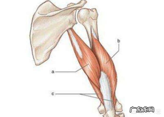 什么是“拜拜袖”？如何减去拜拜袖？