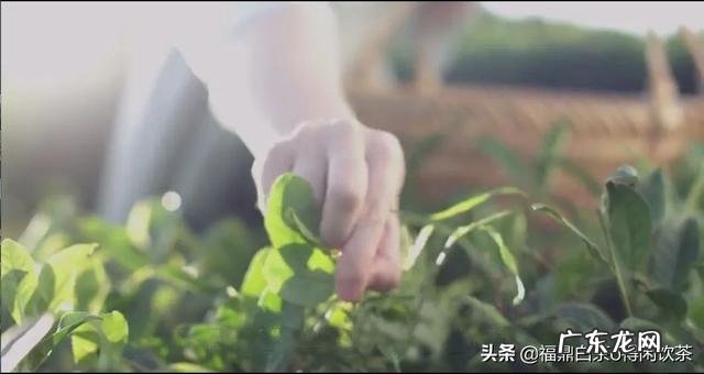 福建省较大的跨境电商平台有哪些 福建销售平台排行榜