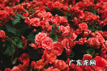 怎样开零食店 淘宝开店卖零食怎么开