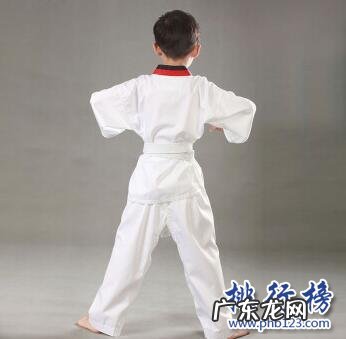 跆拳道品牌 跆拳道服哪个牌子好?跆拳道服十大品牌排行榜