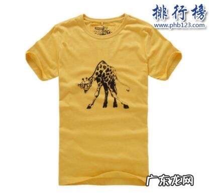 男士短袖体恤衫哪个品牌最好 什么牌子的体恤衫好?体恤衫十大品牌排行榜