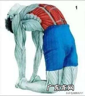 宝妈挑战开合波比跳减肥 在家中就可以完成的波比跳和开合跳哪个更减肥?