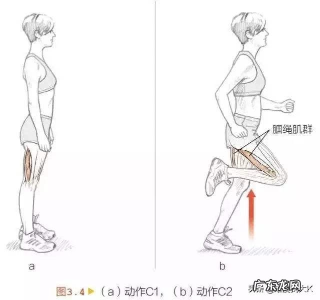 宝妈挑战开合波比跳减肥 在家中就可以完成的波比跳和开合跳哪个更减肥?