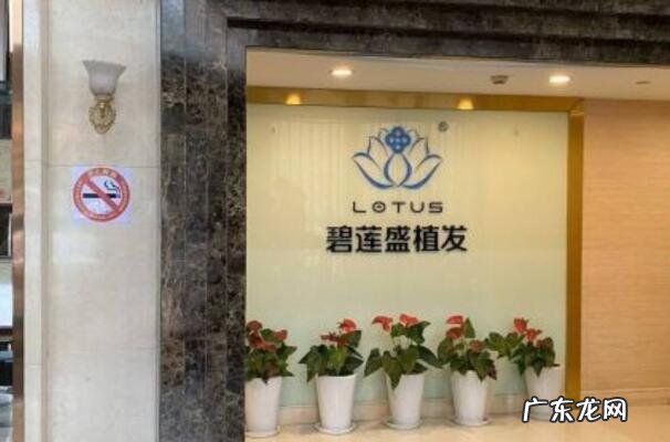 植发吧 2021北京佳植发机构排行榜