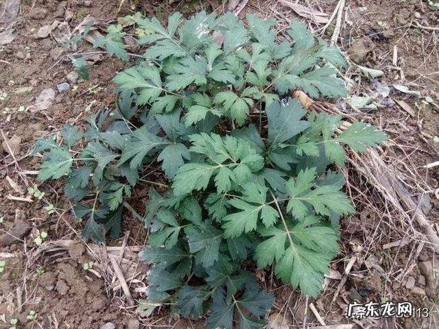 感觉自己胖了但体重还是不减 疫情期间,你是胖了还是瘦了或者不增不减呢?什么感受?