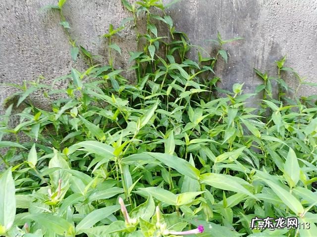 感觉自己胖了但体重还是不减 疫情期间,你是胖了还是瘦了或者不增不减呢?什么感受?