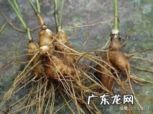 感觉自己胖了但体重还是不减 疫情期间,你是胖了还是瘦了或者不增不减呢?什么感受?