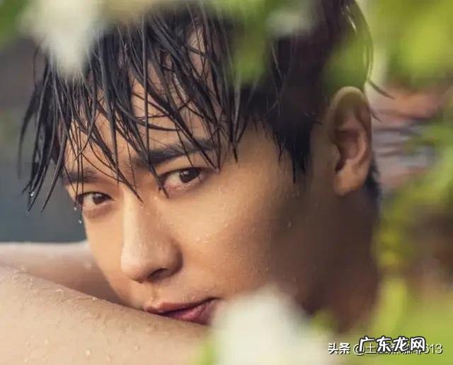 增重用蛋白粉还是增肌粉？