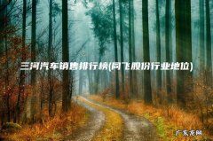同飞股份行业地位 三河汽车销售排行榜