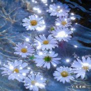 2021年个性网名 无为2021年楼盘销售排行榜