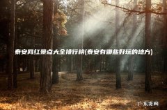 泰安有哪些好玩的地方 泰安网红景点大全排行榜