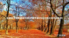 中国手机2020线上线下占比表 全国线下销售量排行榜