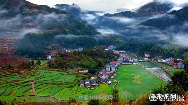 寒假去开化,有什么景点好玩吗?_马蜂窝问答 – 马蜂窝 开化旅游景点大全排行榜