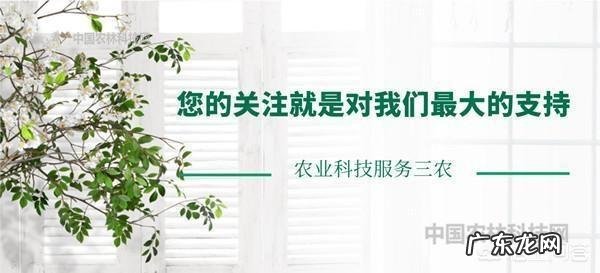 寒假去开化,有什么景点好玩吗?_马蜂窝问答 – 马蜂窝 开化旅游景点大全排行榜