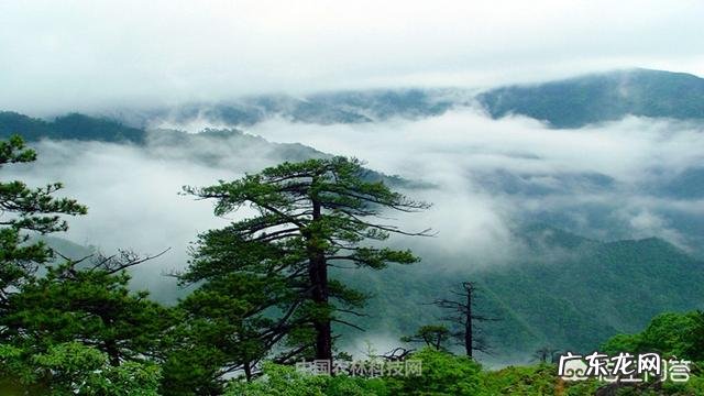 寒假去开化,有什么景点好玩吗?_马蜂窝问答 – 马蜂窝 开化旅游景点大全排行榜