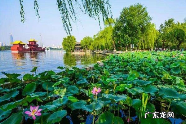 山东景点 山东十大好玩的景点