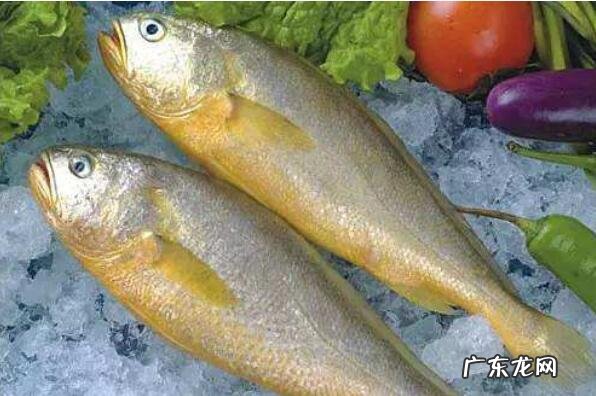 黄岩头陀红糖多少一斤 浙江省台州十大特产