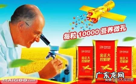 中国十大名牌复合肥是哪些 大型复合肥销售排行榜