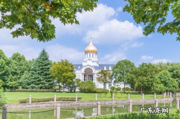 上海最受关注的十大高校