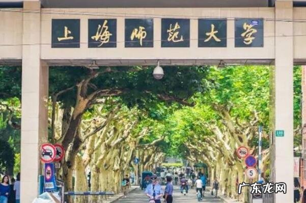 上海最受关注的十大高校