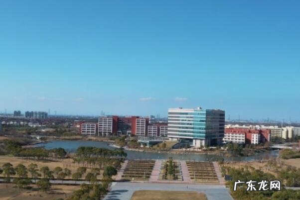 上海最受关注的十大高校